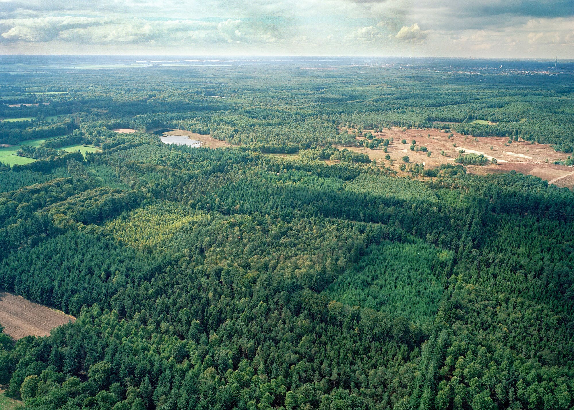 Landgoed Pijnenburg nabij Soest en Baarn, natuurgebied met bos en heide